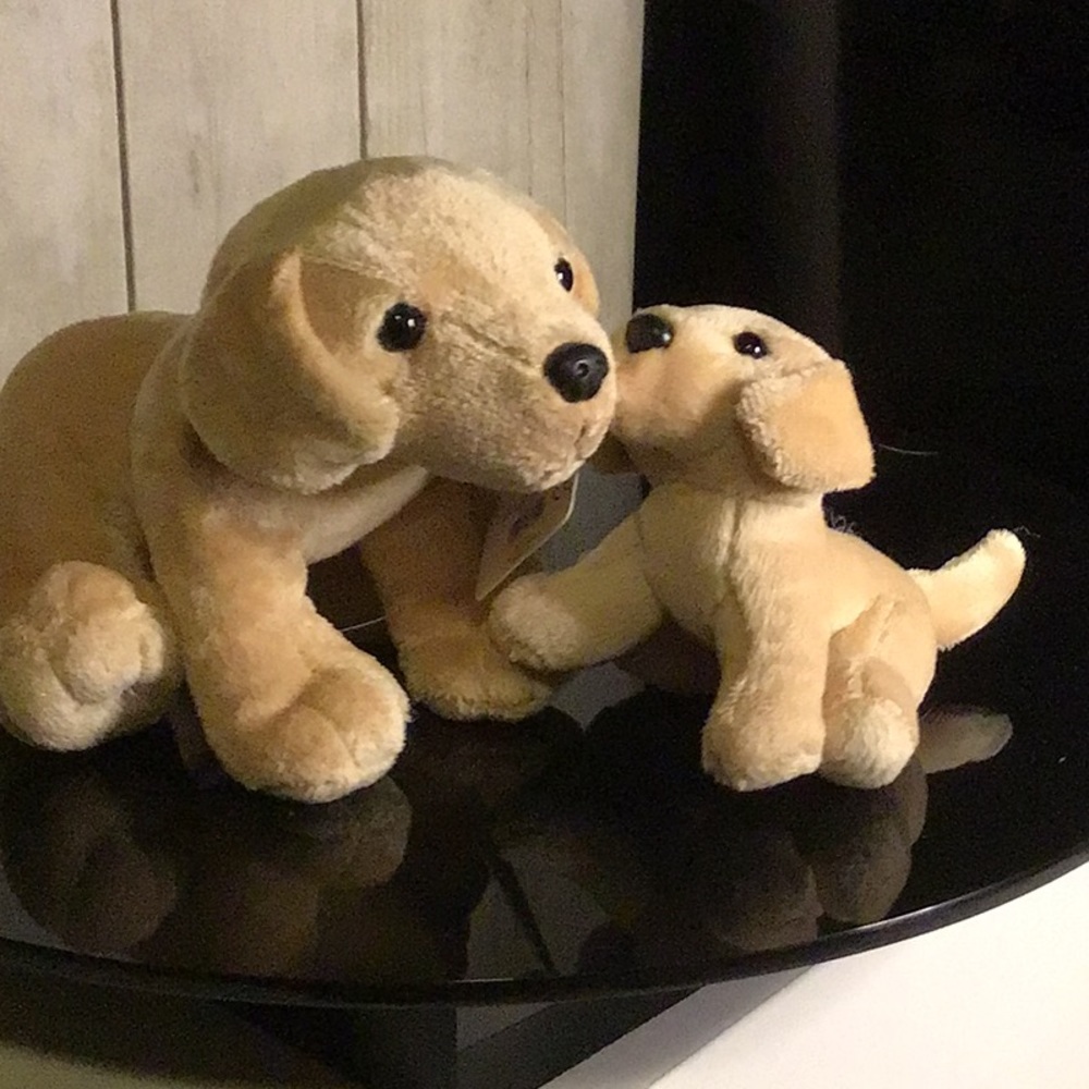 golden retriver dog